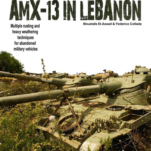 BS5 AMX-13 IN LEBANON