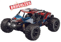 NARLYBL 1/14 4WD BRUSHLESS DESERT TRUCK