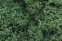 WSL162 LICHEN LIGHT GREEN
