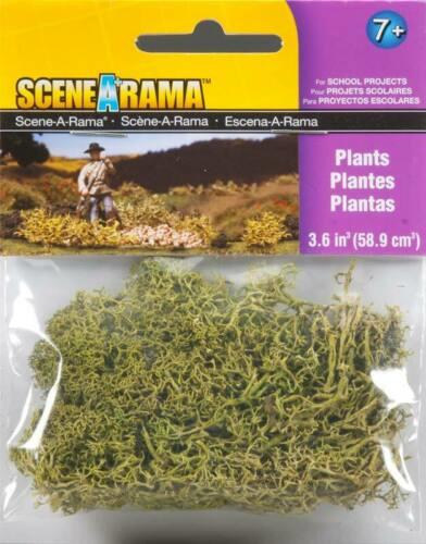 WSSP4185 SCENEARAMA PLANTS