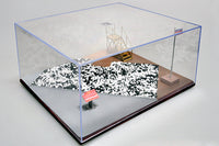 MT09849 12-1/2 X 10-7/8 X 5-3/8" DIORAMA DISPLAY CASE