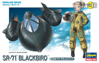 HAS60128 EGGPLANE SR-71 BLACKBIRD