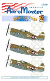 AM72189 AEROMASTER 1/72 DEBDEN JUGS PART 2