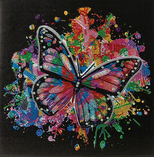 CAKQVC3030M09 COLOUR IN FLIGHT