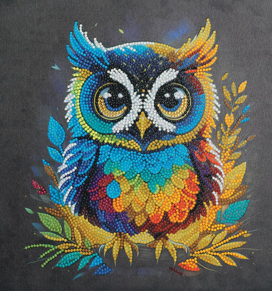 CAKA199M OWL