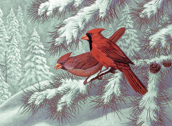 PAL323T CARDINALS