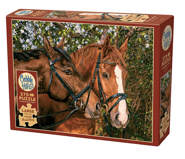 COB88015 FRIENDS FOREVER | Easy Handling 275 Piece