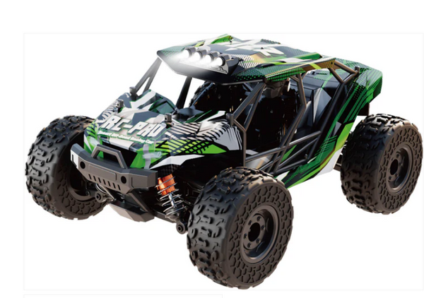 RCP1138 1/18 RIZZ 4WD BRUSHED RTR