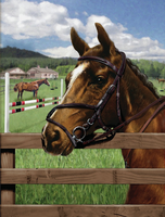 PJS88 EQUINE PADDOCK PAINT BY NUMBERS