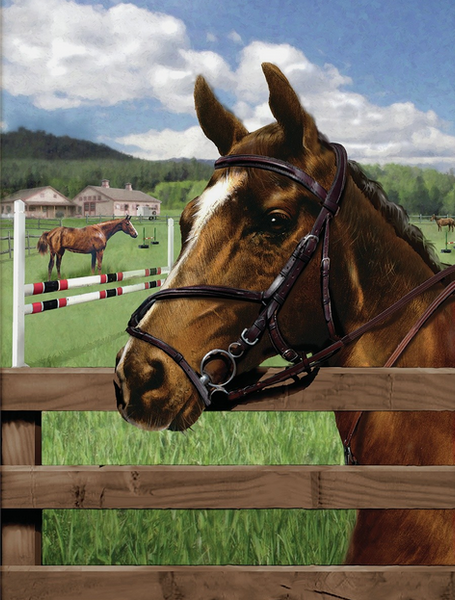 PJS88 EQUINE PADDOCK PAINT BY NUMBERS
