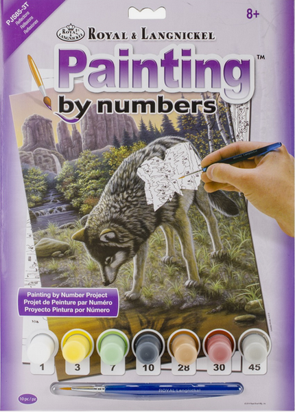 PJS853T REFLECTIONS PAINT BY NUMBERS