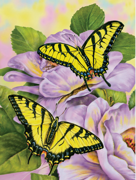 PJS693T SWALLOWTAIL BUTTERFLIES PAINT BY NUMBER
