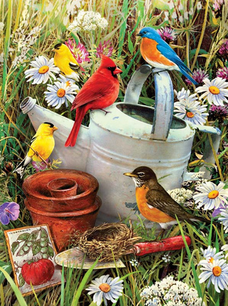 PJS713T GARDEN BIRDS PAINT BY NUMBER