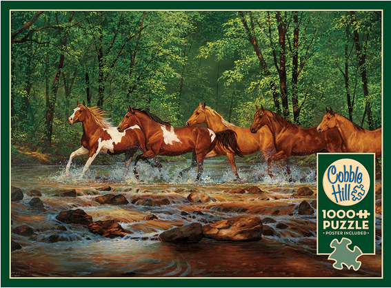 COB40322 SPRING CREEK RUN 1000 PCE