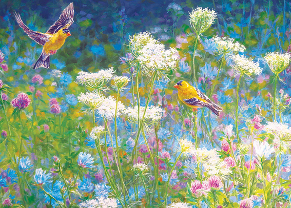 COB40300 VISITING THE MEADOW 1000 PCE