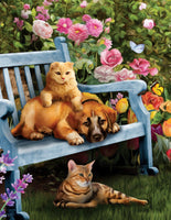 SUN28894 GARDEN HANGOUT 500+ PCE