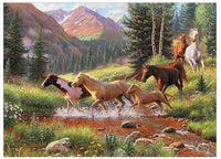 COB80136 MOUNTAIN THUNDER 1000 PCE