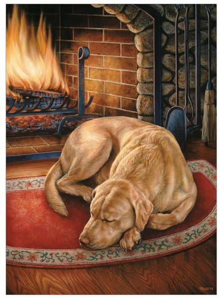 COB80197 HOME IS WHERE THE DOG IS 1000 PCE