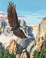 DIM91301 SOARING EAGLE PAINT BY NUMBER