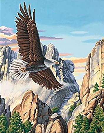 DIM91301 SOARING EAGLE PAINT BY NUMBER