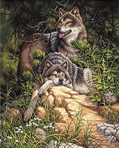 DIM91416 WILD & FREE WOLVES PAINT BY NUMBER