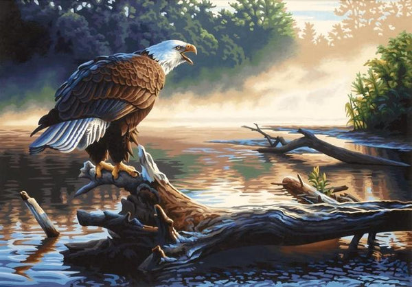 DIM91379 EAGLE HUNTER PAINT BY NUMBER