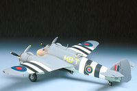 TAM61067 1/48 BRISTOL BEAUFIGHTER TF.MK.X