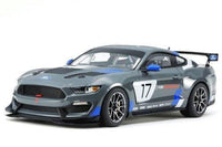 TAM24354 1/24 FORD MUSTANG GT4