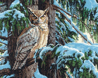 DIM7391772 GREAT HORNED OWL PAINT BY NUMBER