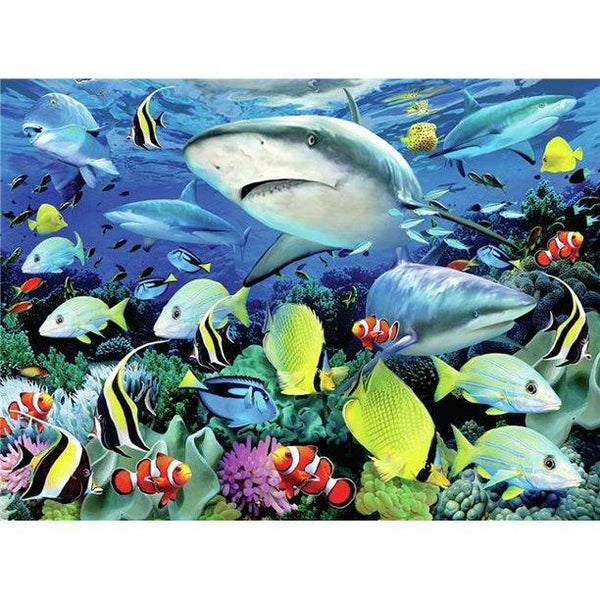 PJL42 REEF SHARKS